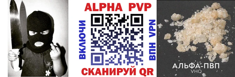 Alfa_PVP СК КРИС  Луга 