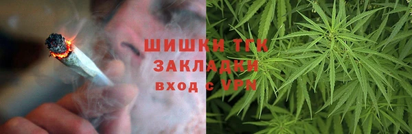 мяу мяу мука Аркадак