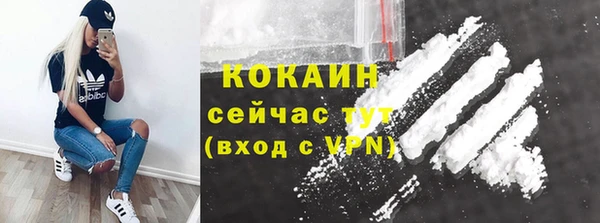 мяу мяу мука Аркадак