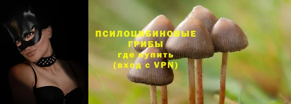 мяу мяу мука Аркадак