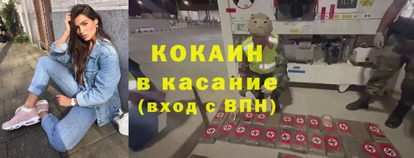 мяу мяу мука Аркадак