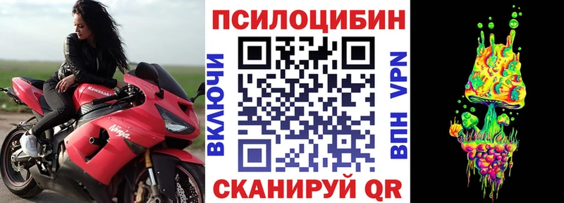 Галлюциногенные грибы Cubensis купить маркетплейс наркотические препараты Луга