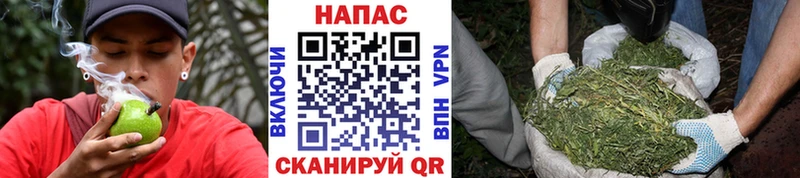 МАРИХУАНА индика  Луга 